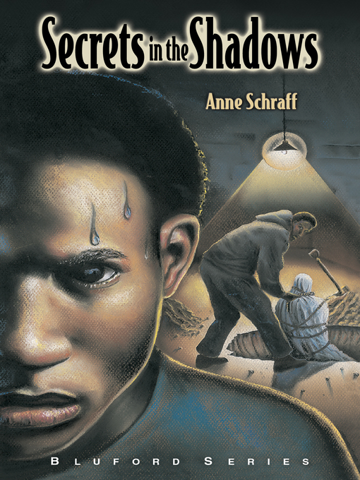 Title details for Secrets in the Shadows by Anne Schraff - Available